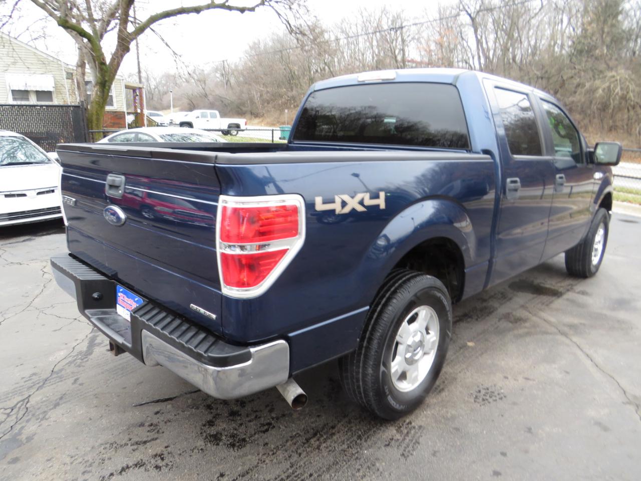 Ford F-150 4WD SuperCrew 145" Platinum 2013