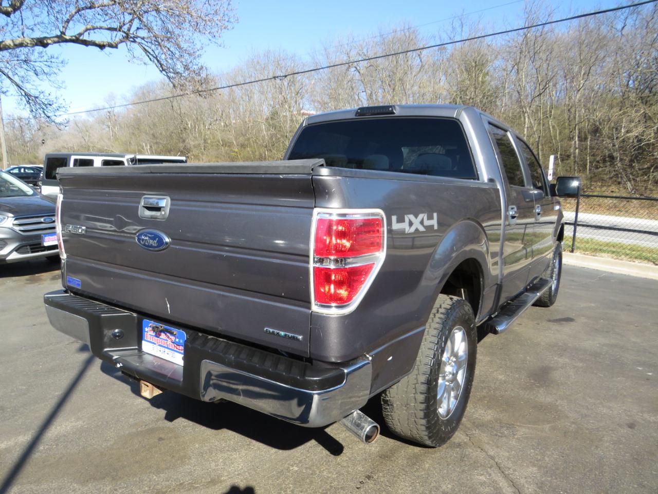 Ford F-150 4WD SuperCrew 145" Platinum 2014