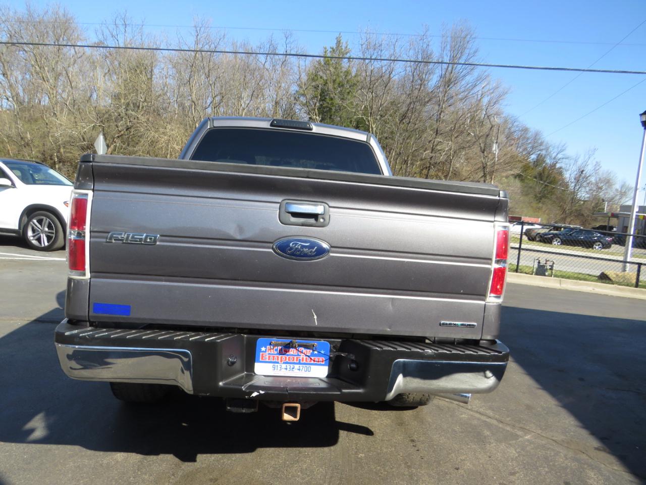 Ford F-150 4WD SuperCrew 145" Platinum 2014