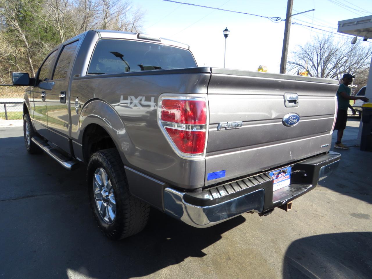 Ford F-150 4WD SuperCrew 145" Platinum 2014