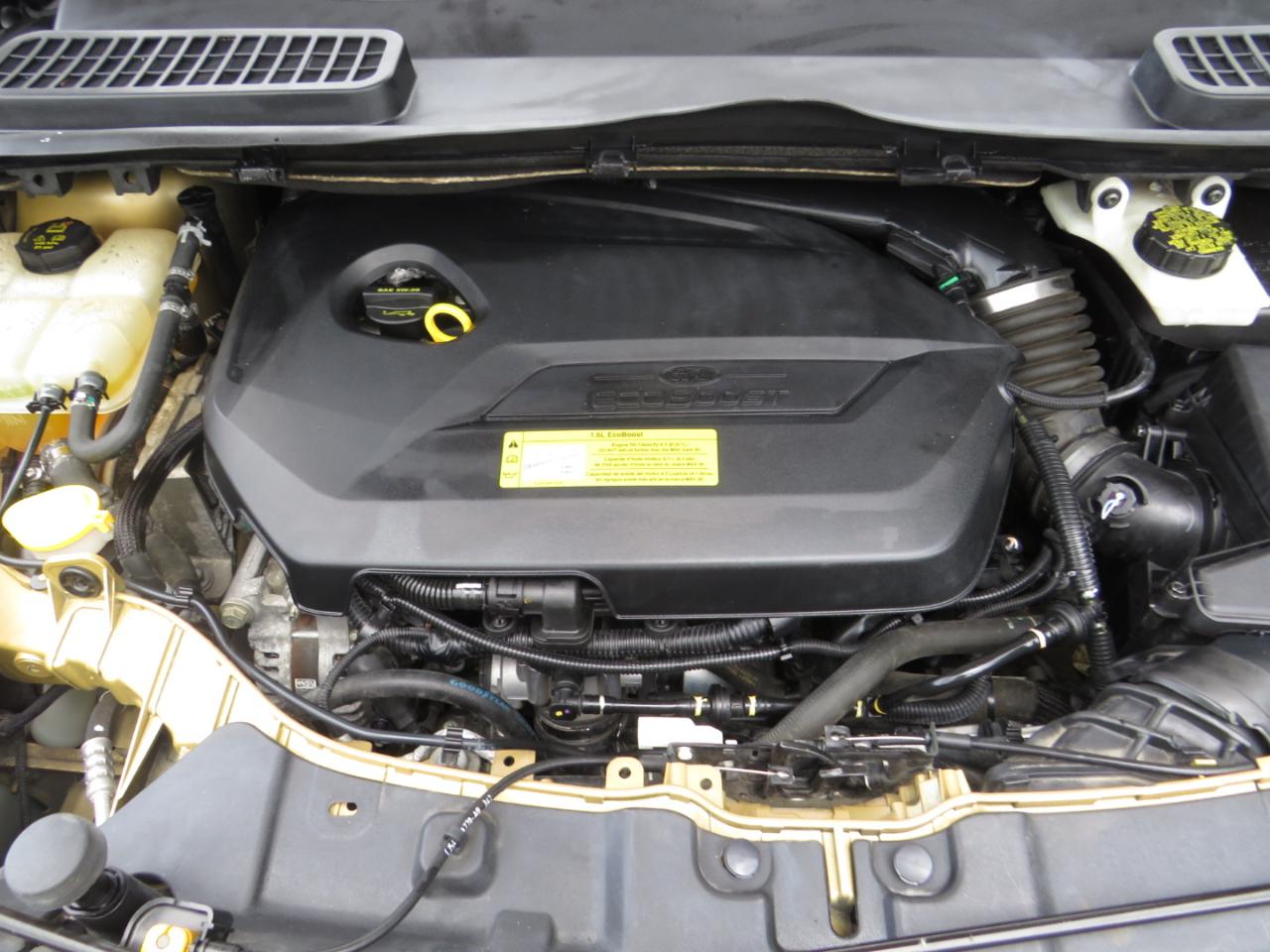 Ford Escape FWD 4dr SE 2014