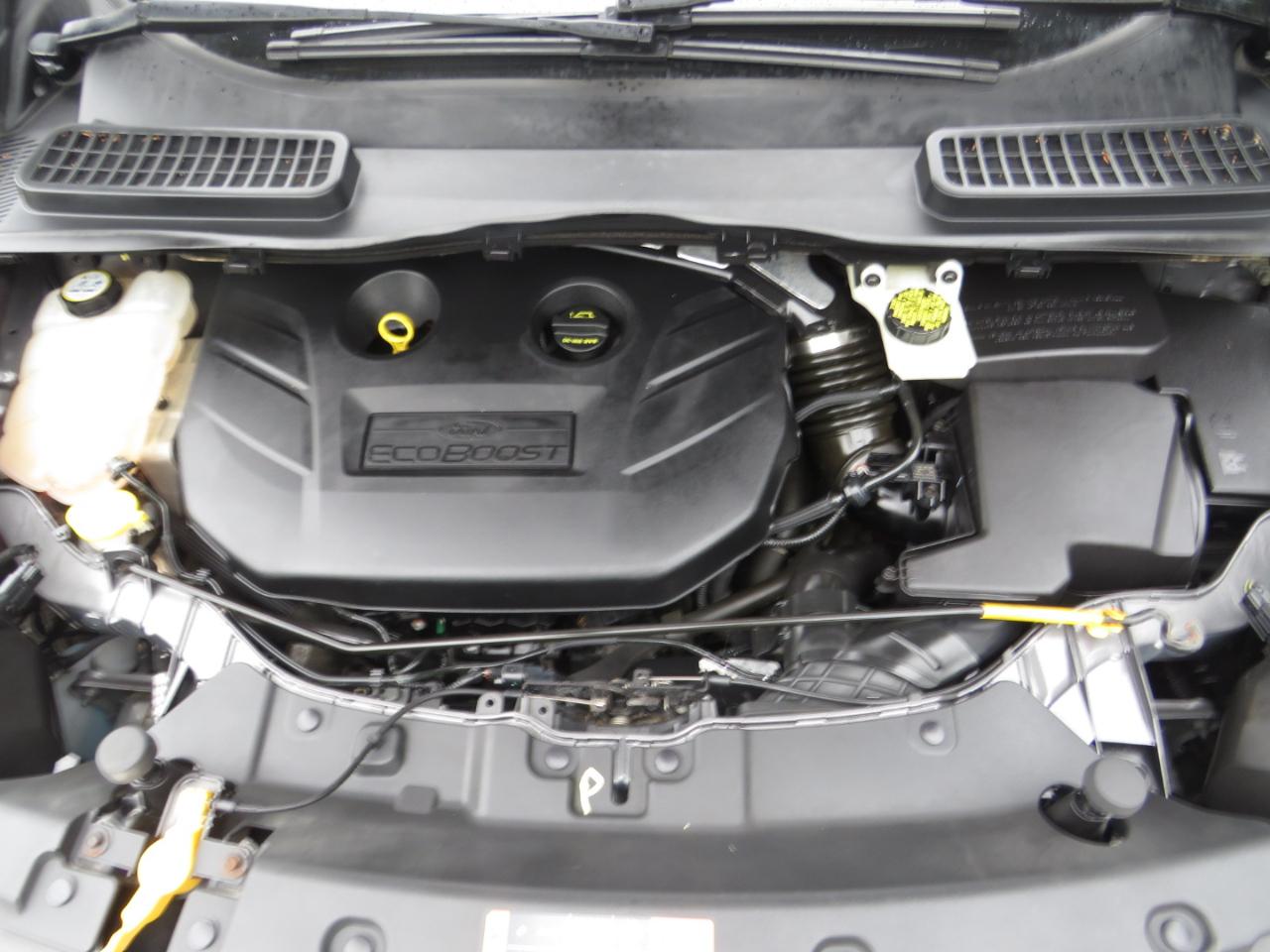 Ford Escape 4WD 4dr SE 2013