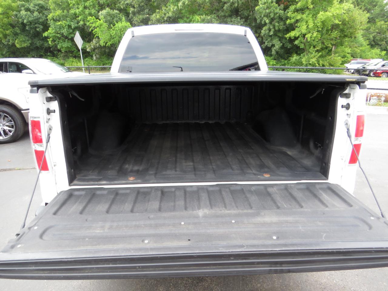 Ford F-150 AWD SuperCrew 145" Harley-Davidson 2010