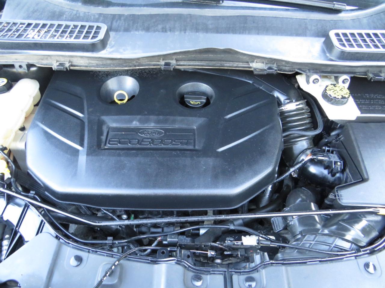 Ford Escape 4WD 4dr SEL 2013