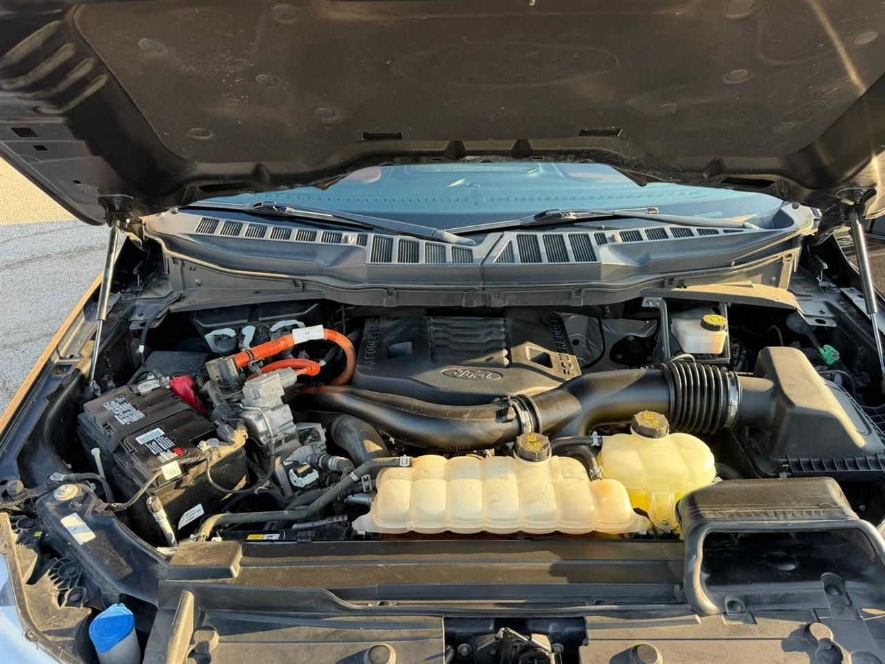 Ford F-150 King Ranch 4WD SuperCrew 5.5' Box 2022