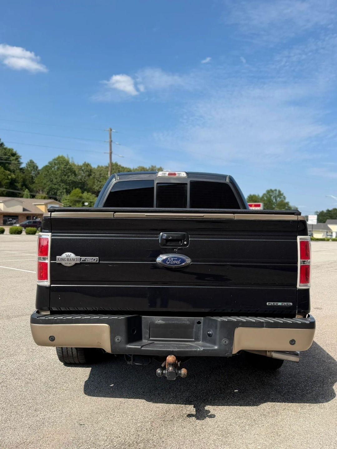 Ford F-150 4WD SuperCrew 145" Platinum 2014