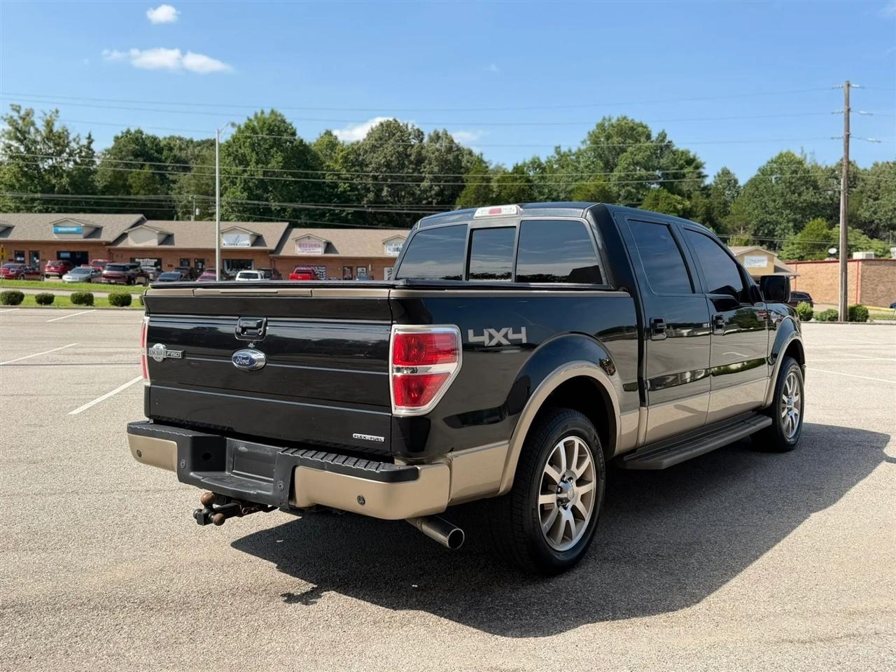 Ford F-150 4WD SuperCrew 145" Platinum 2014