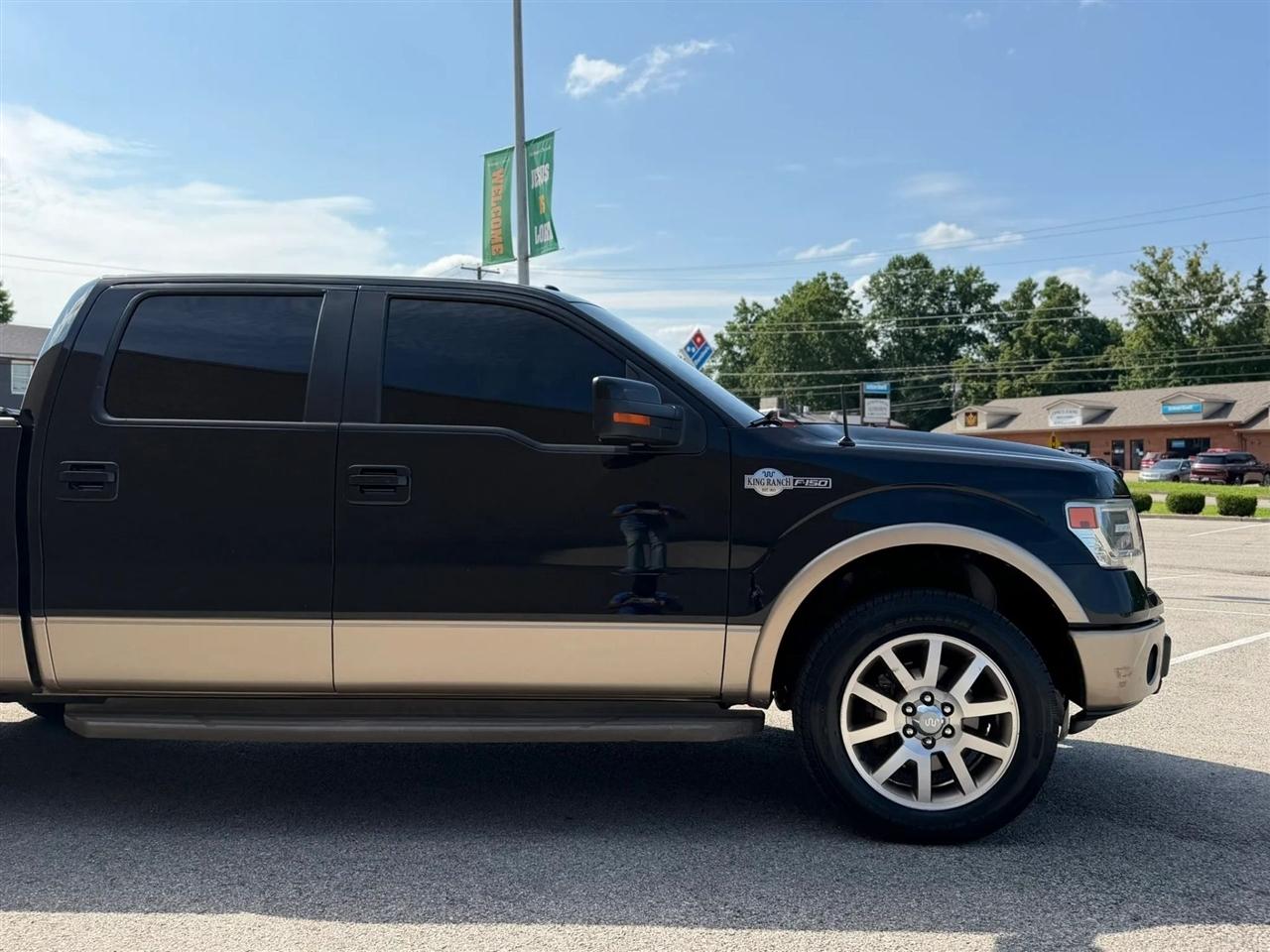 Ford F-150 4WD SuperCrew 145" Platinum 2014