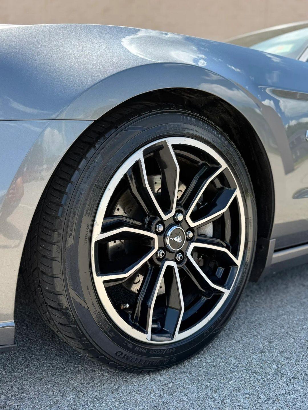 Ford Mustang 2dr Cpe GT 2013