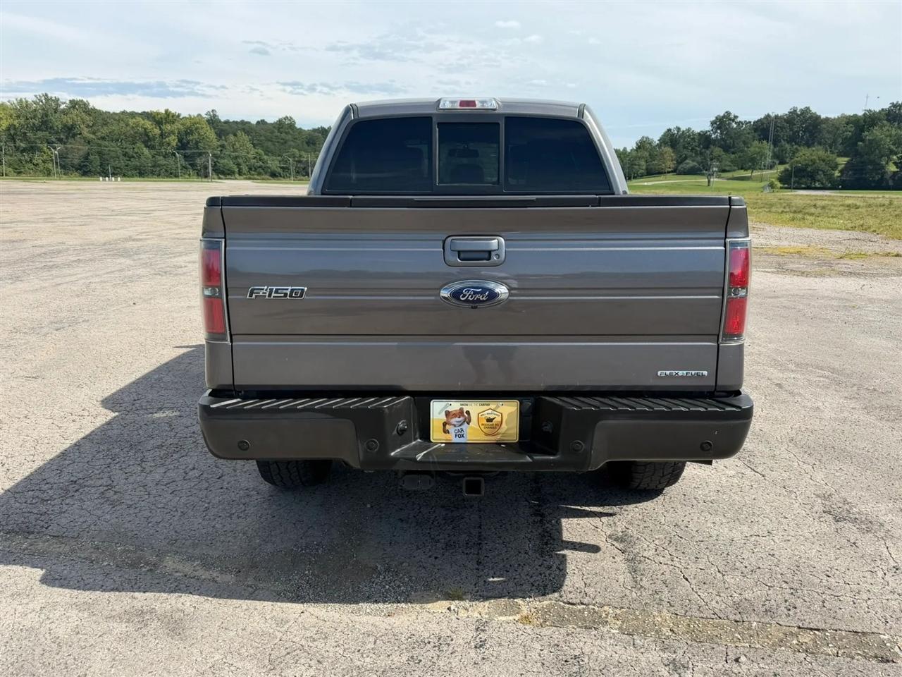 Ford F-150 4WD SuperCrew 145" Platinum 2014