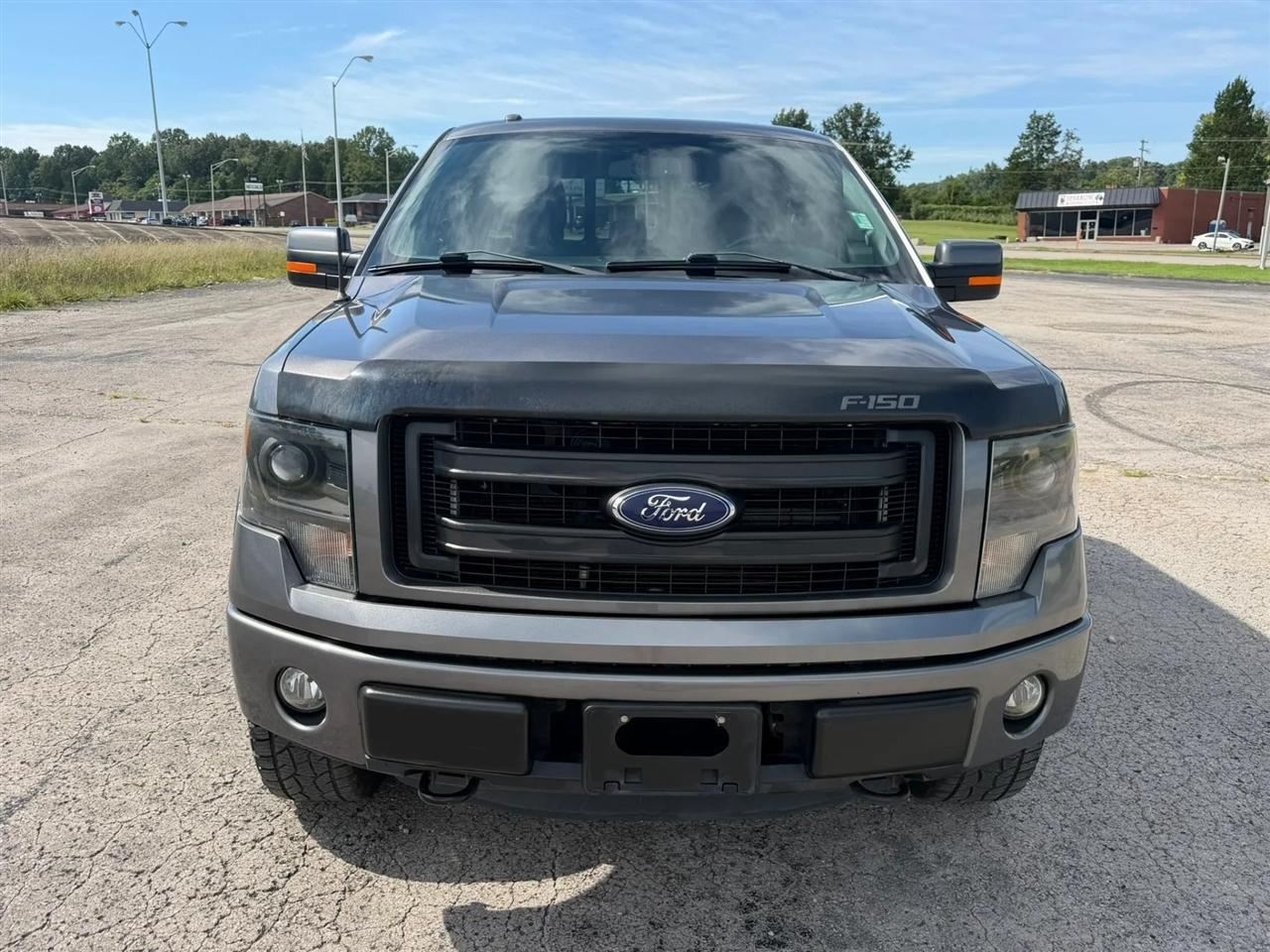 Ford F-150 4WD SuperCrew 145" Platinum 2014