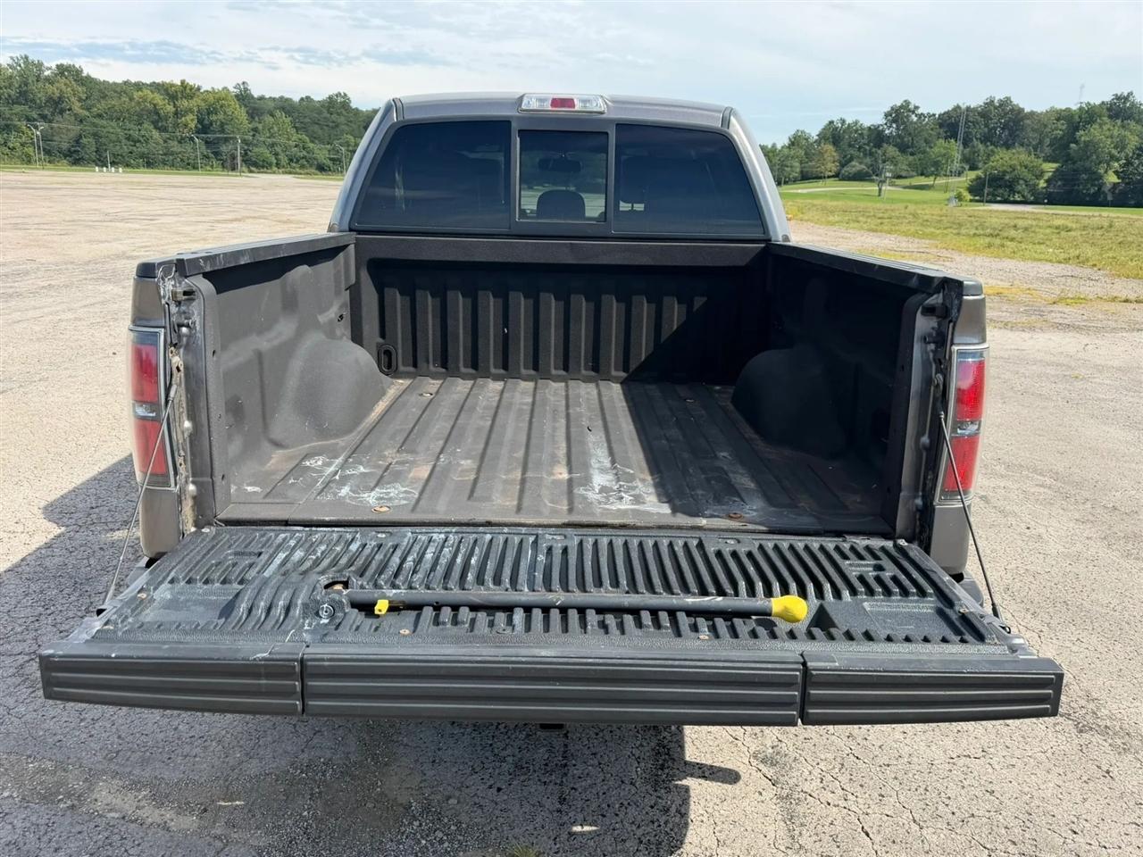 Ford F-150 4WD SuperCrew 145" Platinum 2014