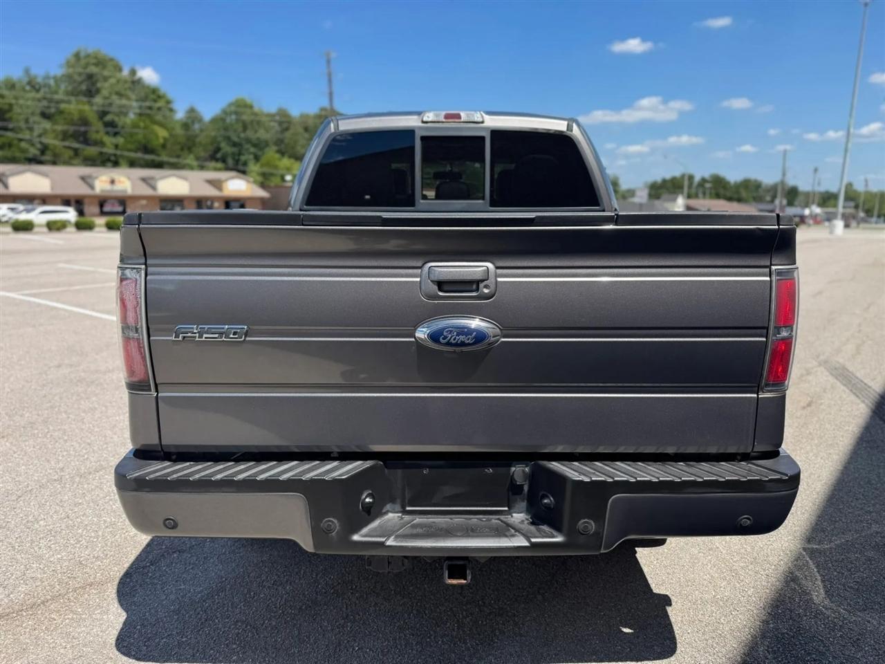 Ford F-150 4WD SuperCrew 145" King Ranch 2013