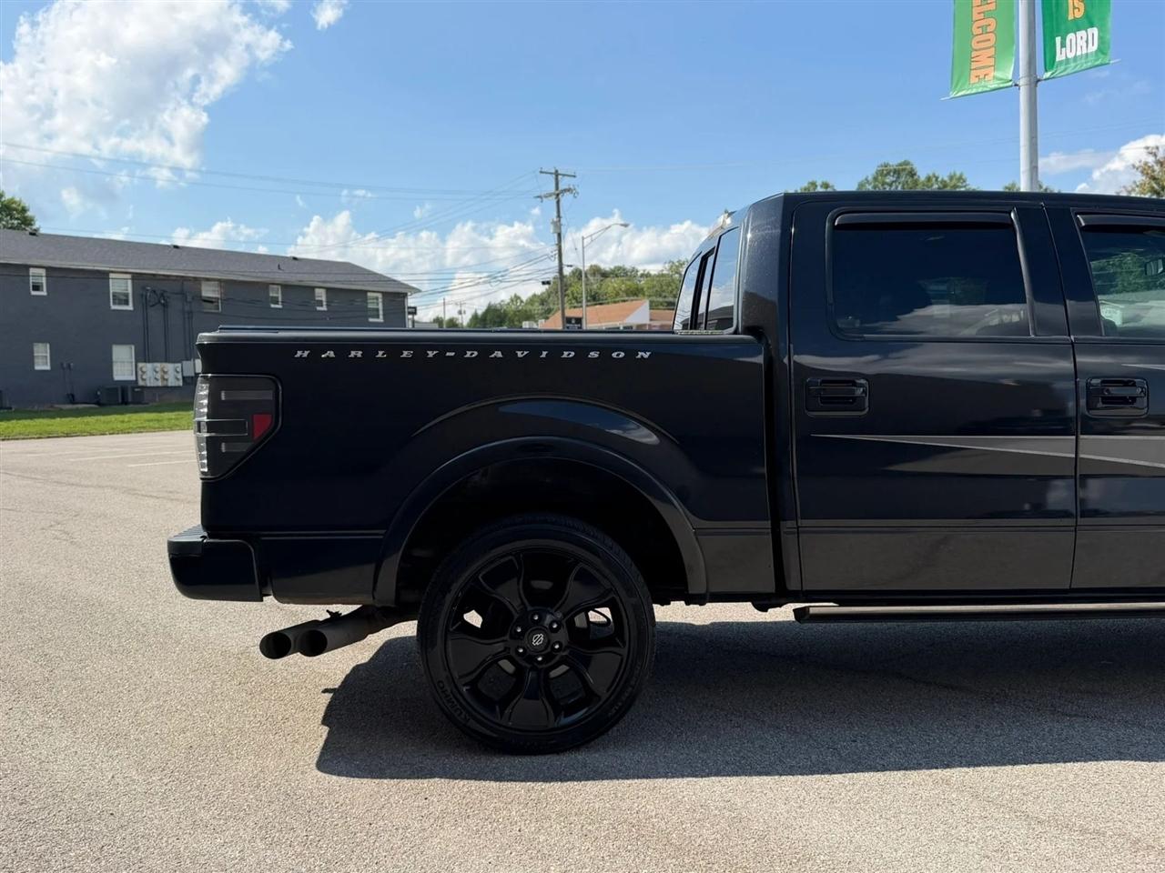 Ford F-150 4WD SuperCrew 145" Harley-Davidson 2012