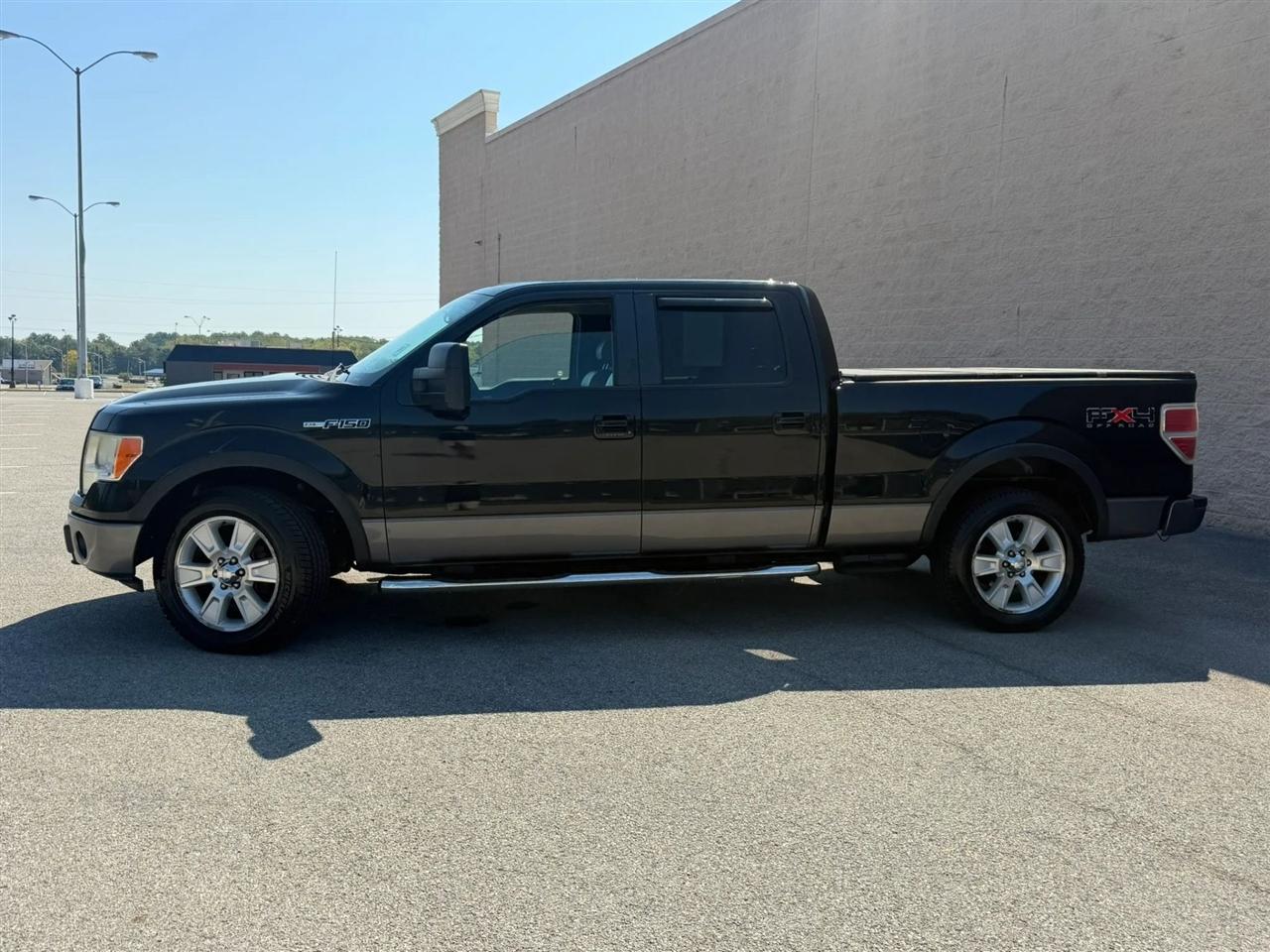 Ford F-150 4WD SuperCrew 145" Platinum 2009