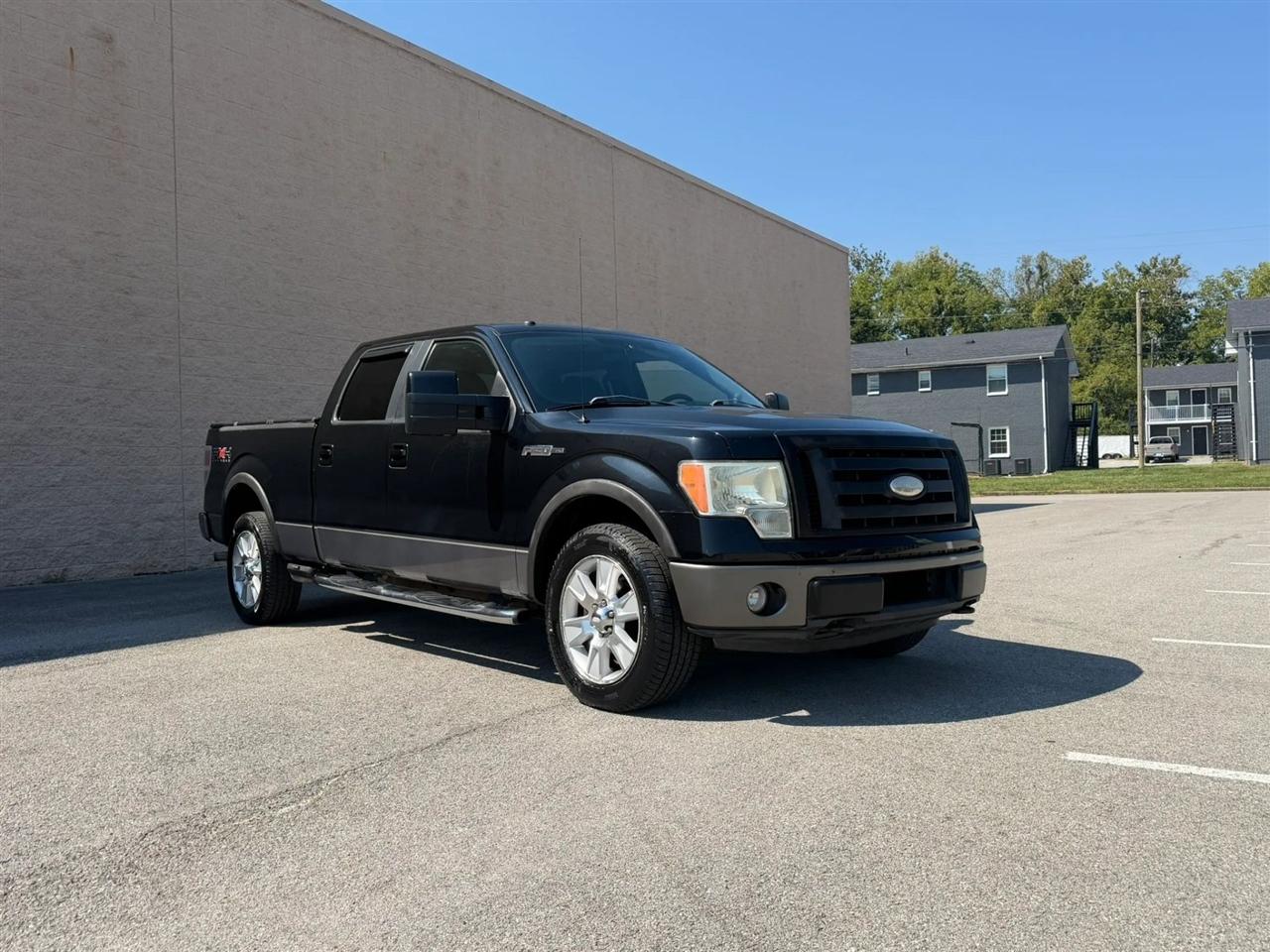 Ford F-150 4WD SuperCrew 145" Platinum 2009
