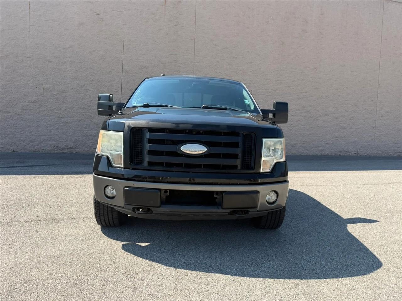 Ford F-150 4WD SuperCrew 145" Platinum 2009