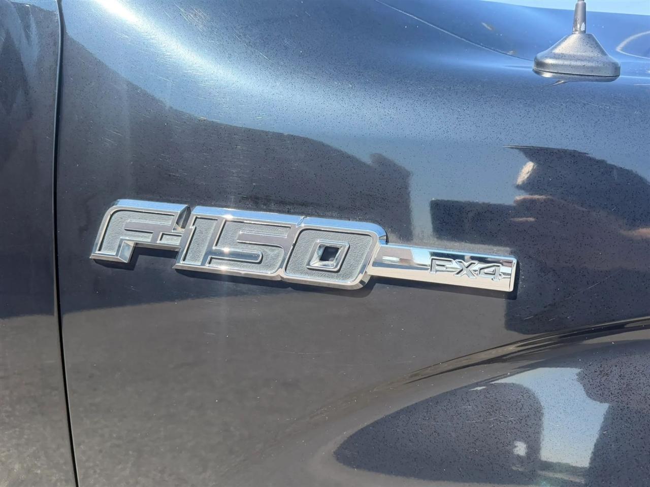 Ford F-150 4WD SuperCrew 145" Platinum 2009