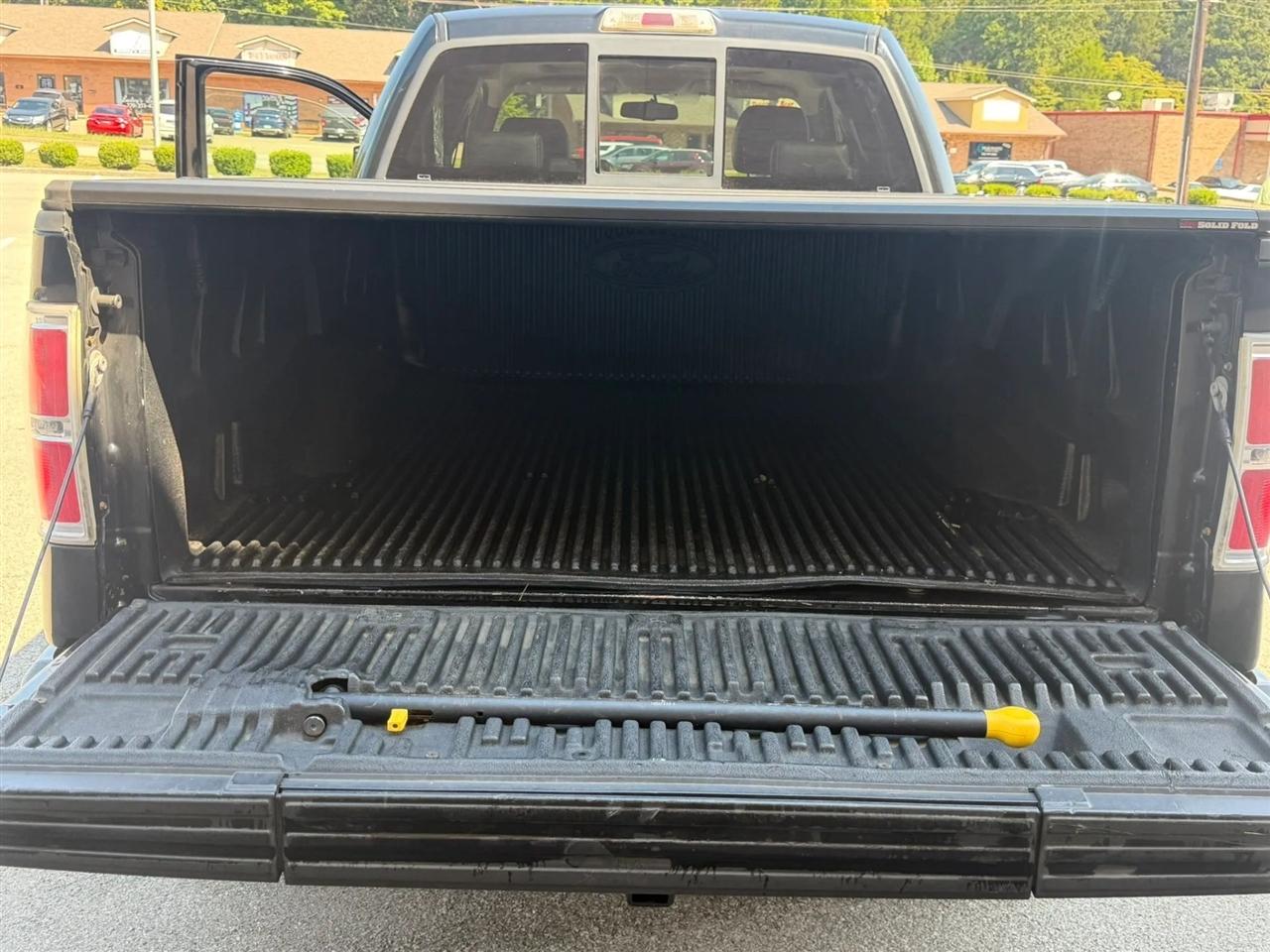 Ford F-150 4WD SuperCrew 145" Platinum 2009