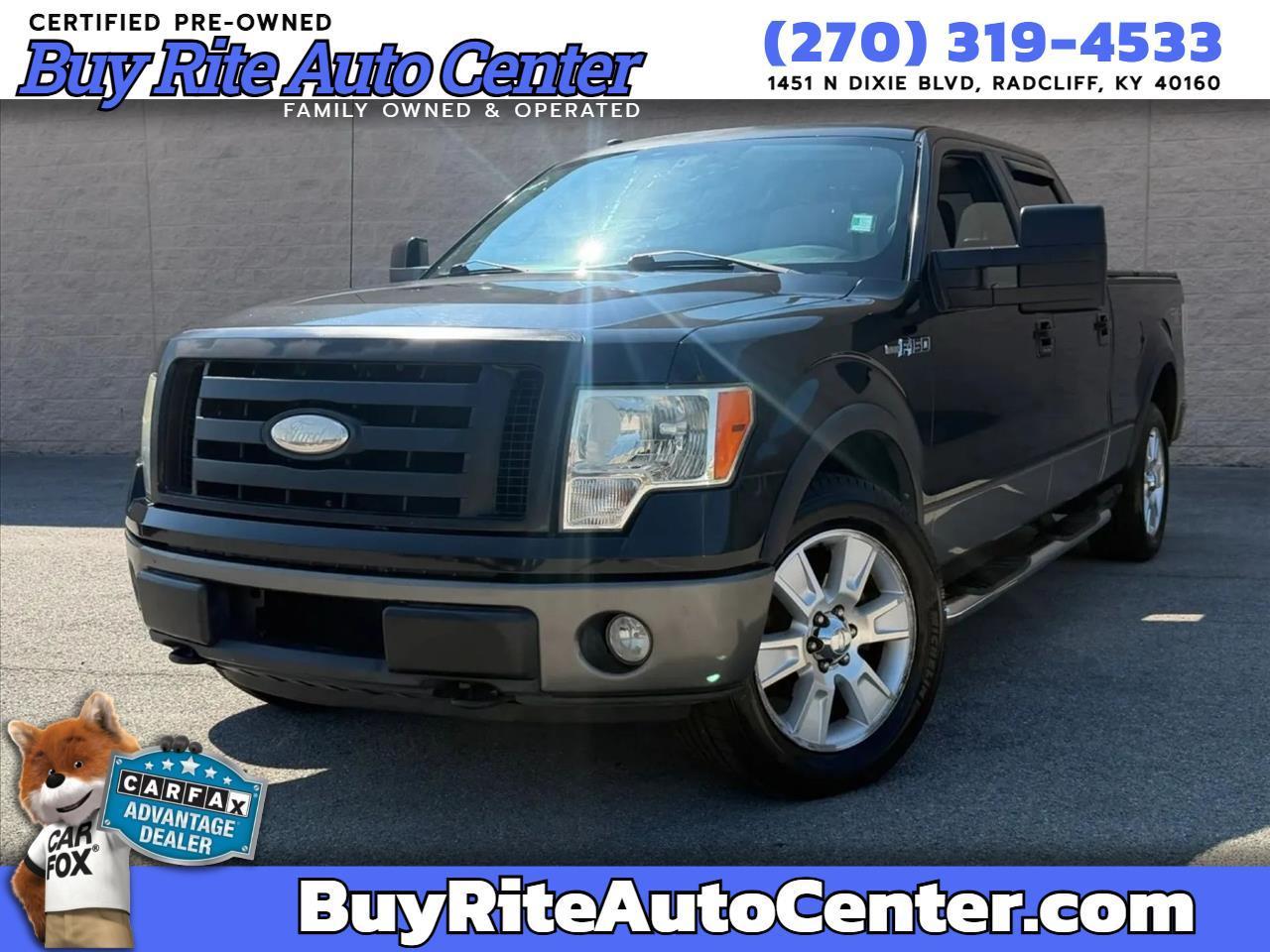 Ford F-150 4WD SuperCrew 145" Platinum 2009