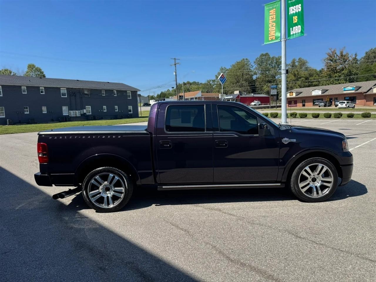 Ford F-150 2WD SuperCrew 139" Harley-Davidson 2007