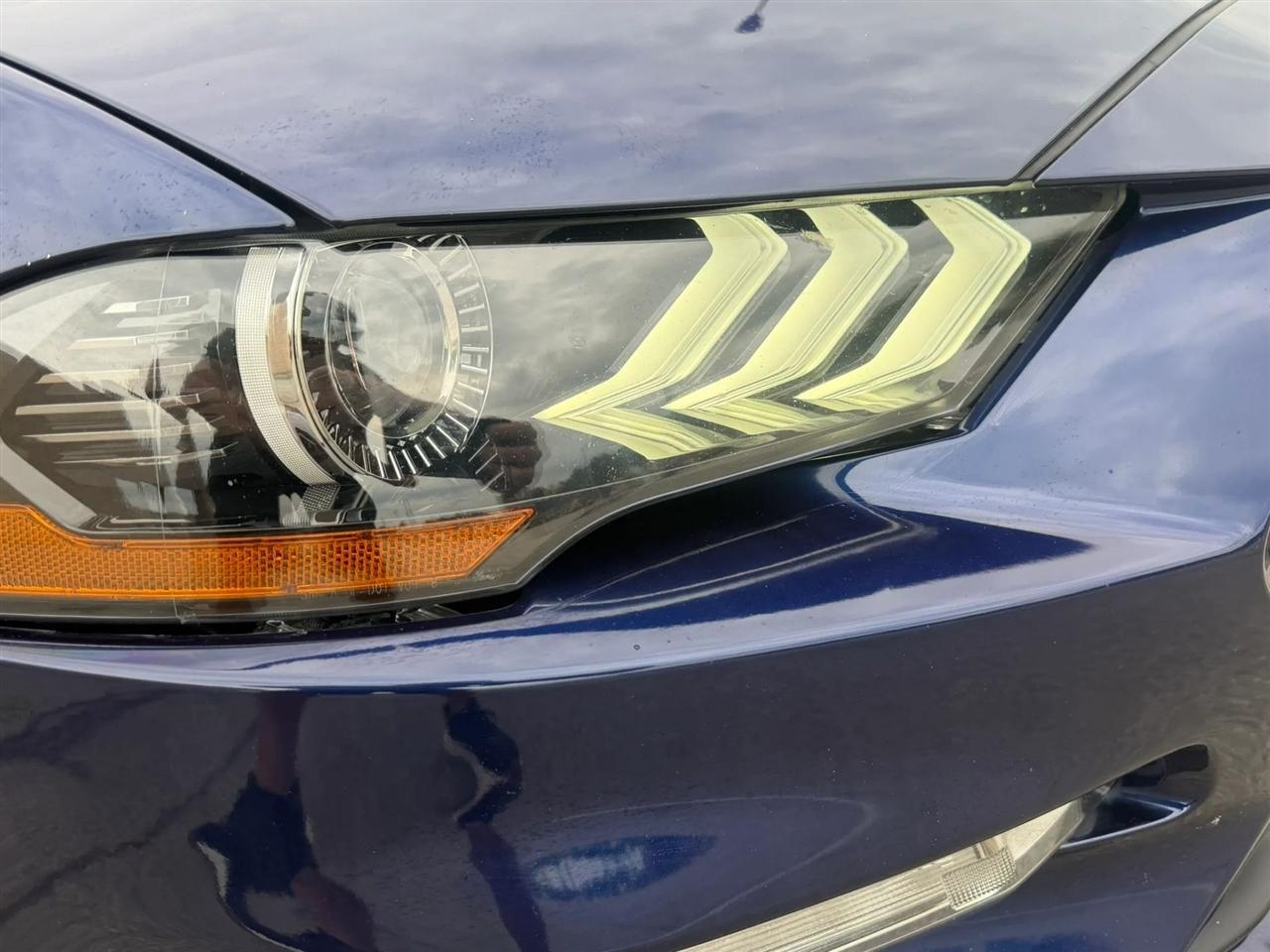 Ford Mustang GT Fastback 2019