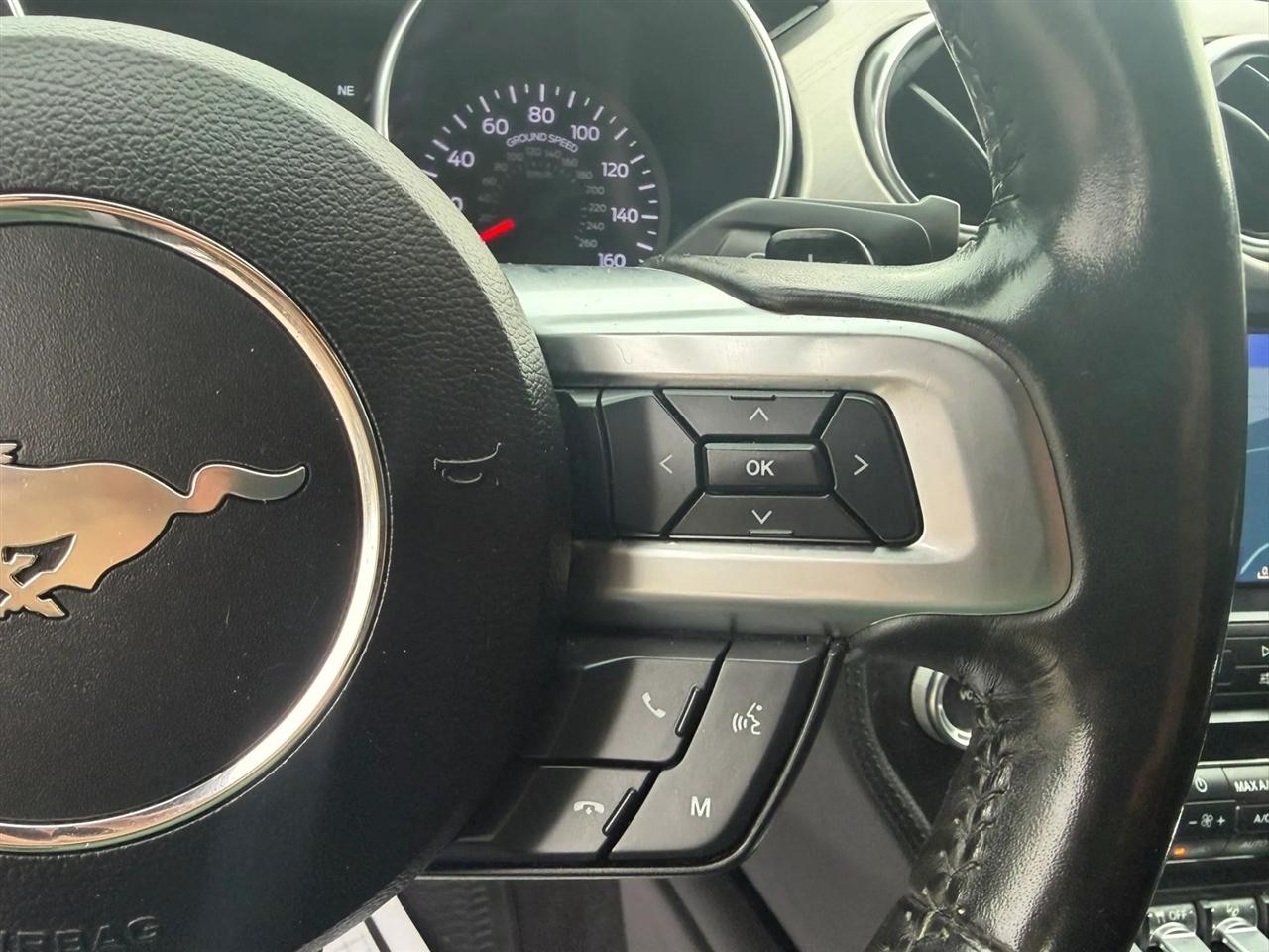 Ford Mustang GT Fastback 2019