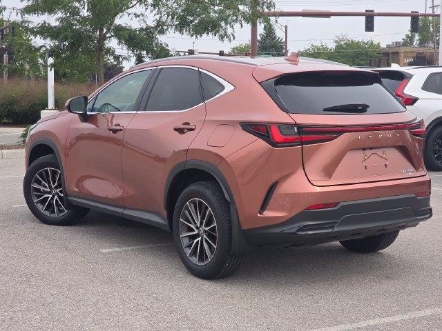 Lexus NX 350 Premium AWD 2025