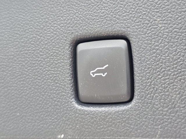 Ford Escape ST-Line AWD 2023