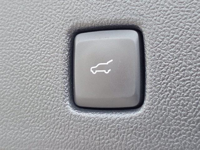 Ford Escape ST-Line AWD 2023