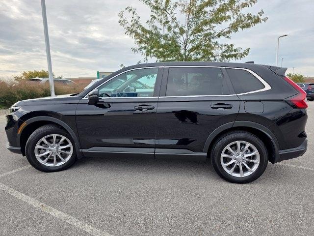 Honda CR-V EX AWD 2024