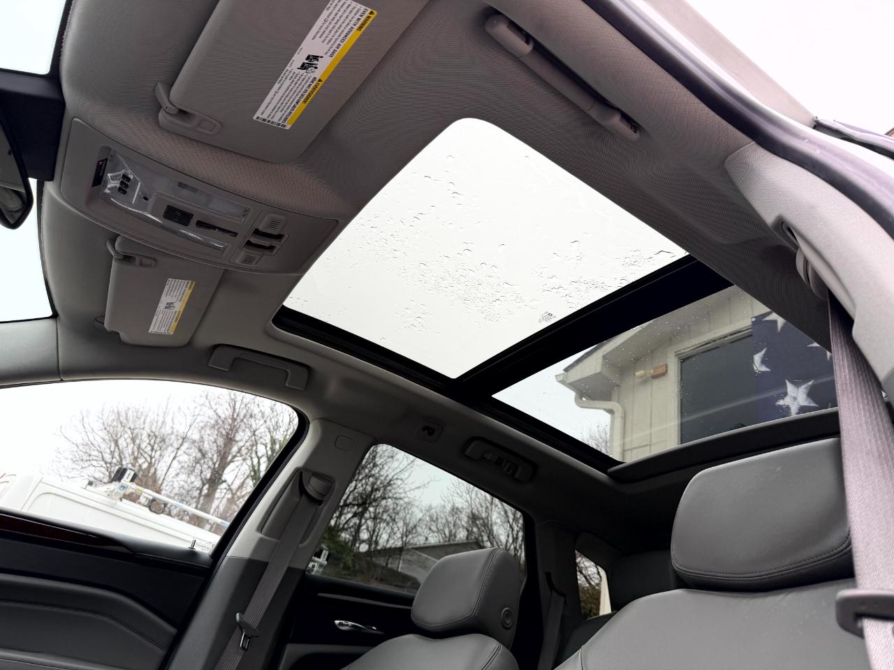 Cadillac SRX Luxury Collection 2010