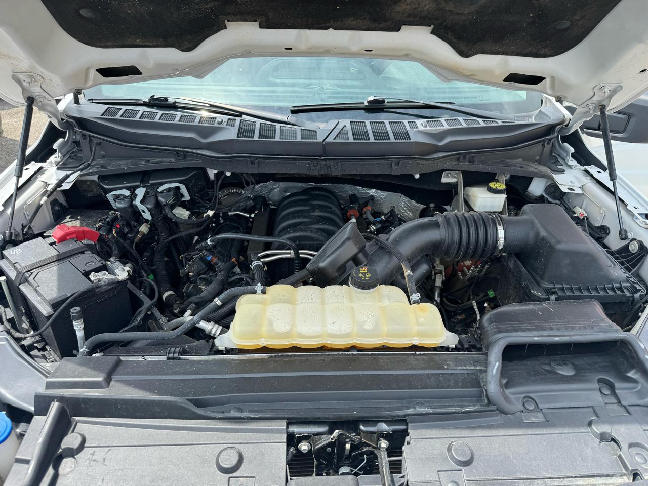 Ford F-150 XLT SuperCrew 5.5-ft. Bed 4WD 2022