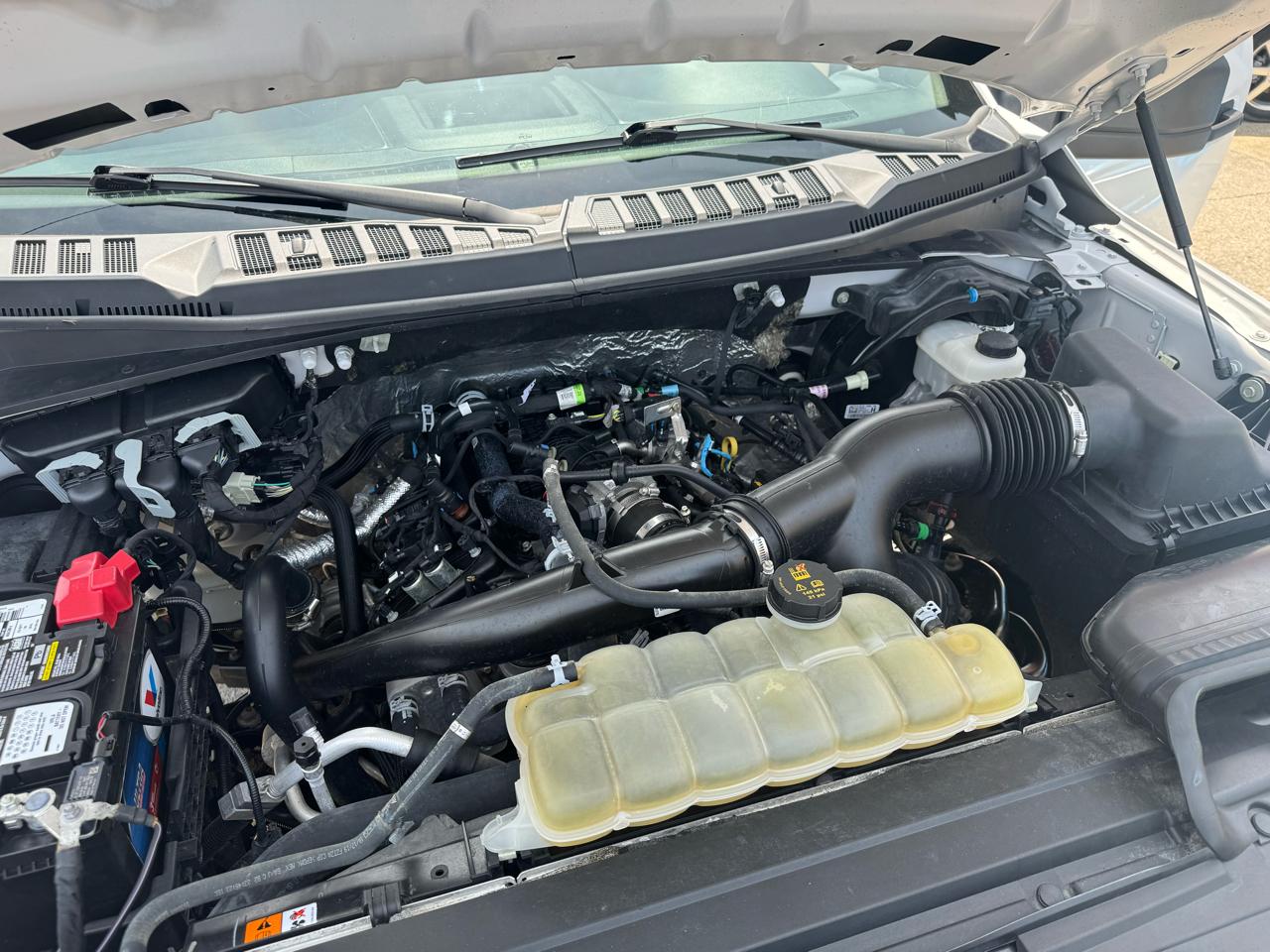Ford F-150 XLT SuperCrew 6.5-ft. Bed 4WD 2020