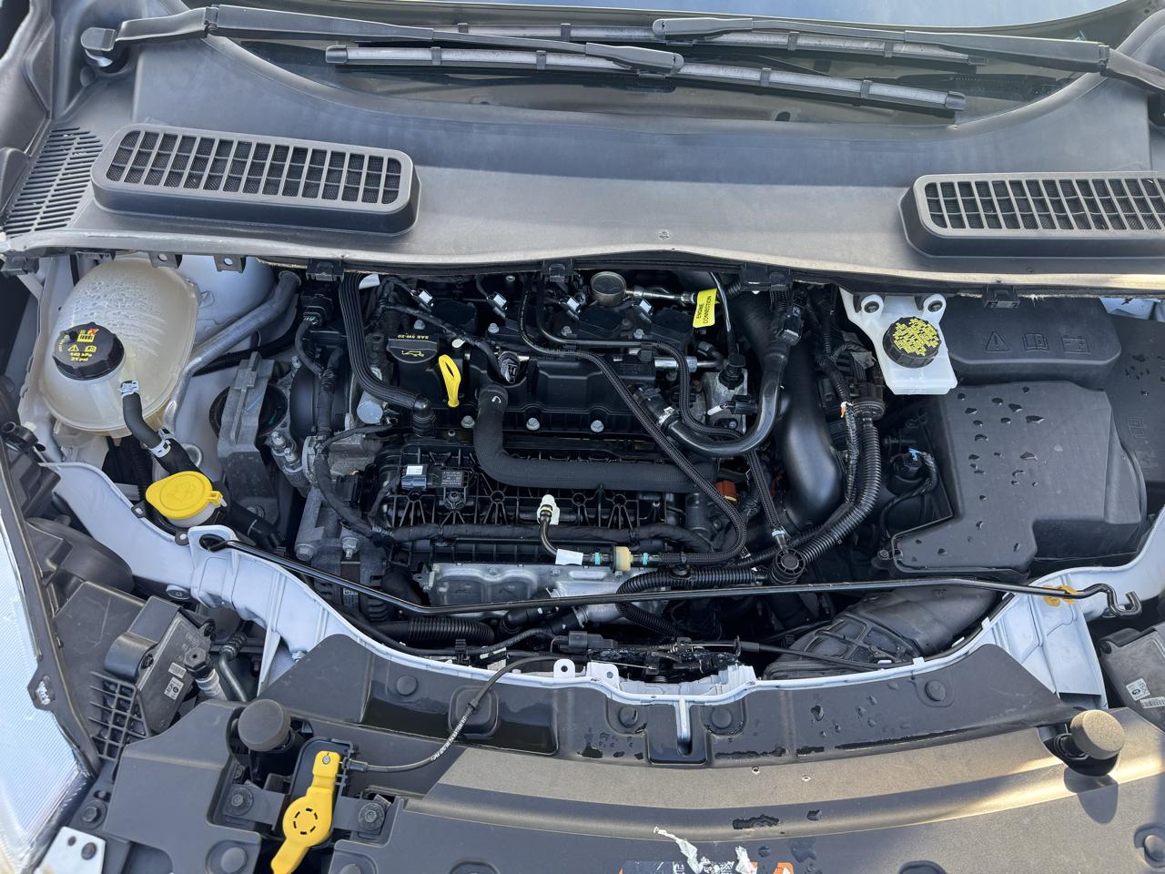 Ford Escape SEL 4WD 2019