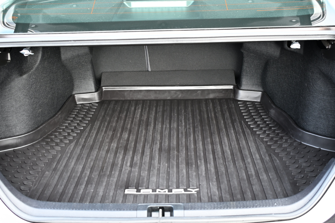 Toyota Camry XLE Auto (Natl) 2018