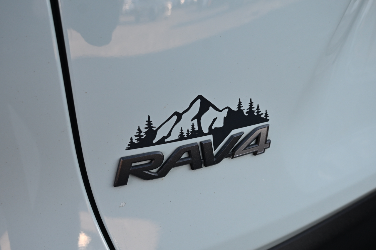 Toyota RAV4 TRD Off Road AWD (Natl) 2020