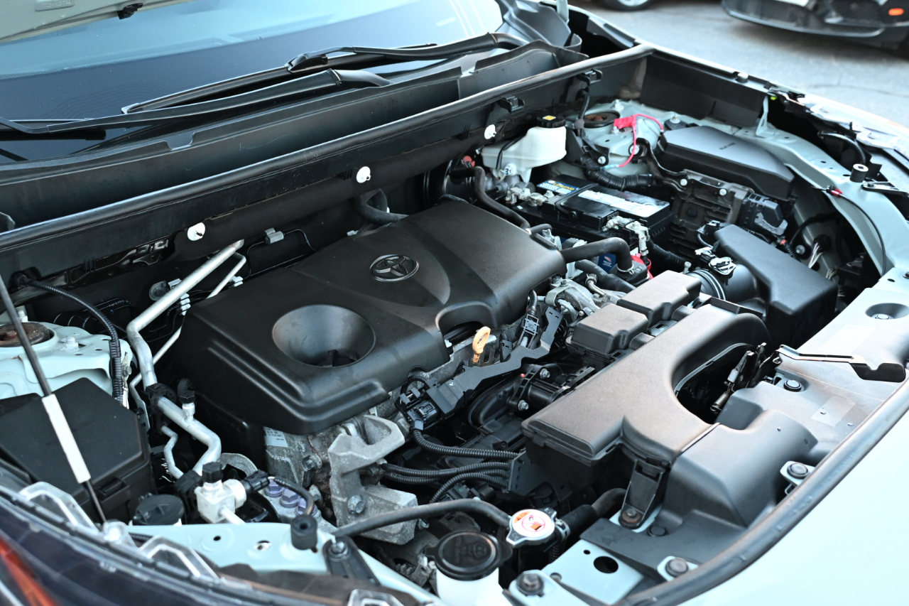 Toyota RAV4 TRD Off Road AWD (Natl) 2020