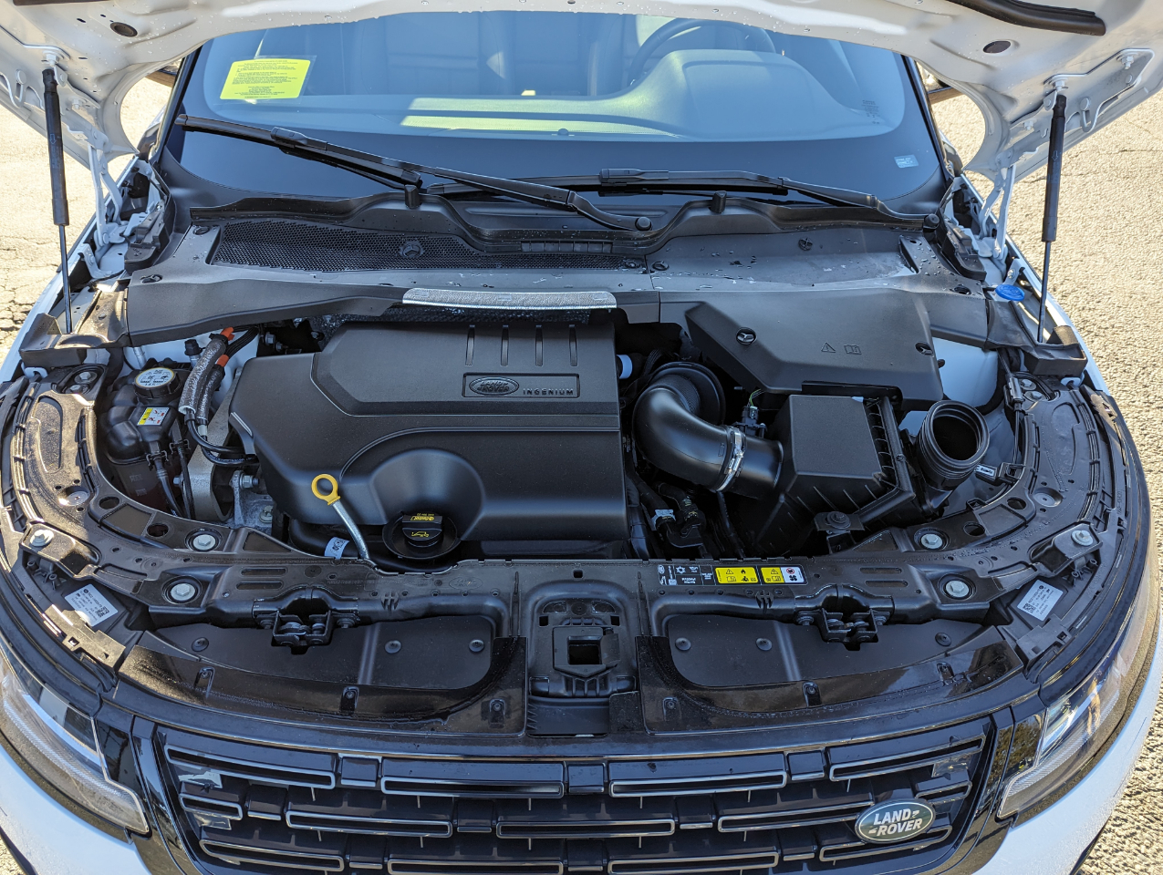 Land Rover Range Rover Evoque Dynamic SE AWD 2024