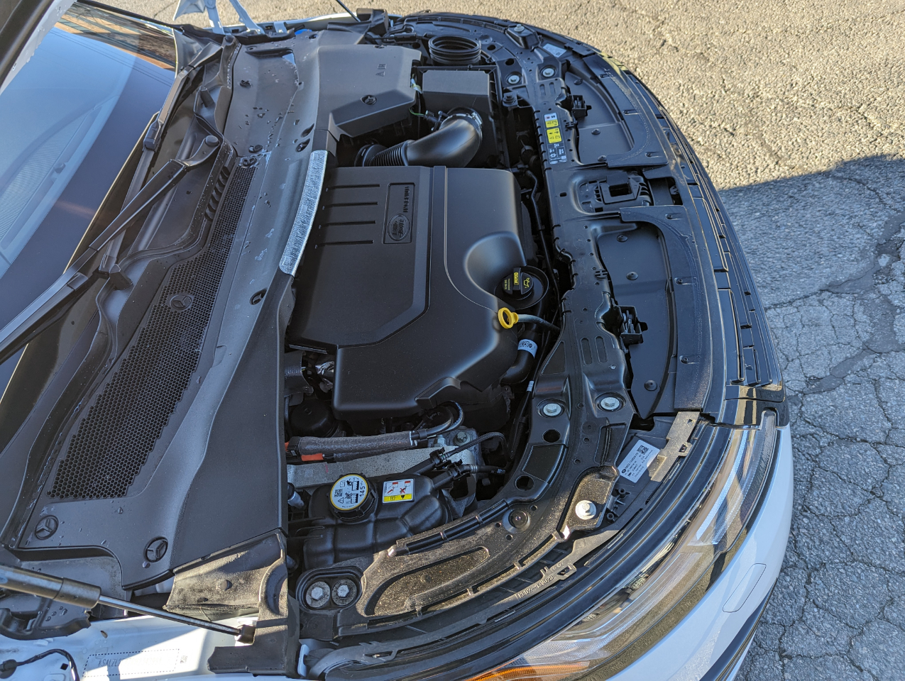 Land Rover Range Rover Evoque Dynamic SE AWD 2024