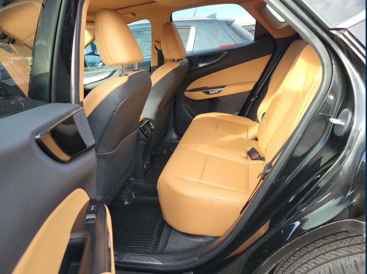 Lexus NX NX 350 AWD 2024