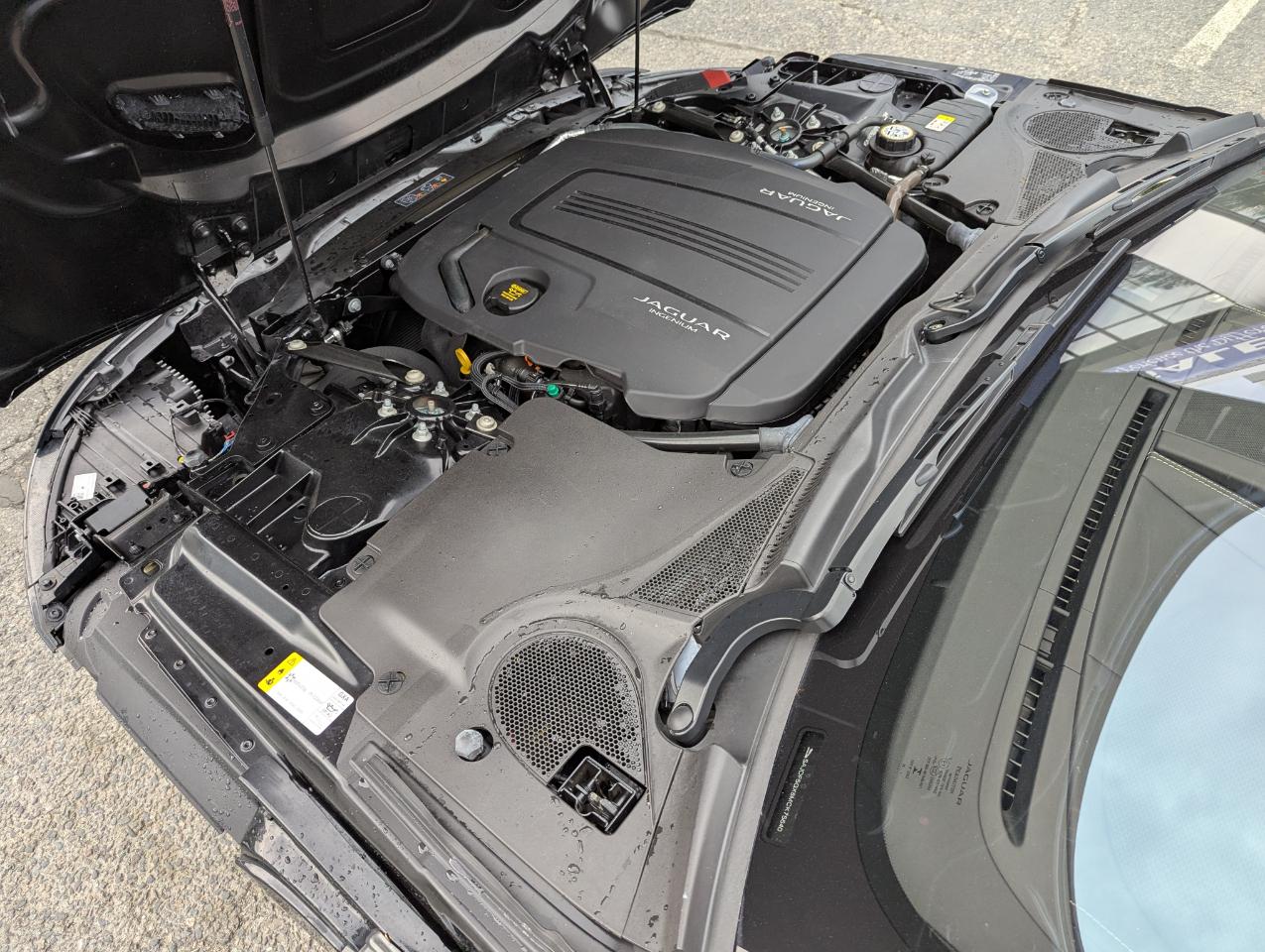 Jaguar F-Type Convertible Auto First Edition 2021