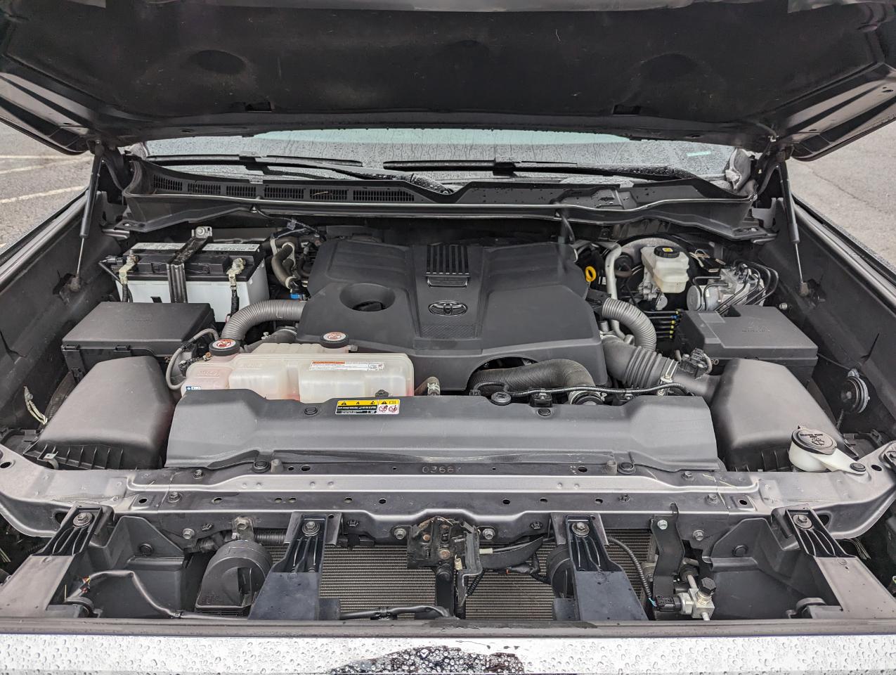 Toyota Tundra 4WD SR5 CrewMax 5.5' Bed (Natl) 2022