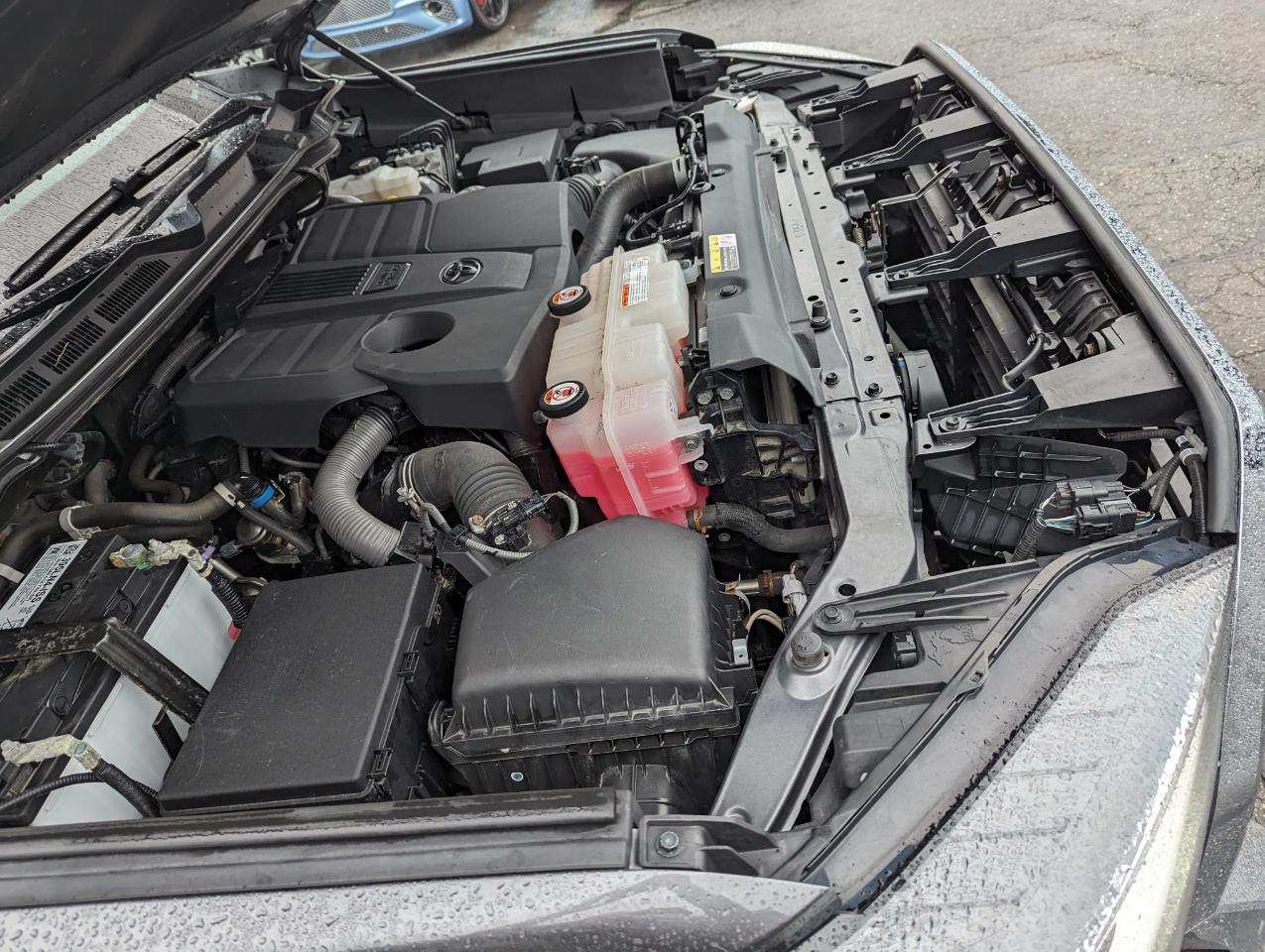 Toyota Tundra 4WD SR5 CrewMax 5.5' Bed (Natl) 2022