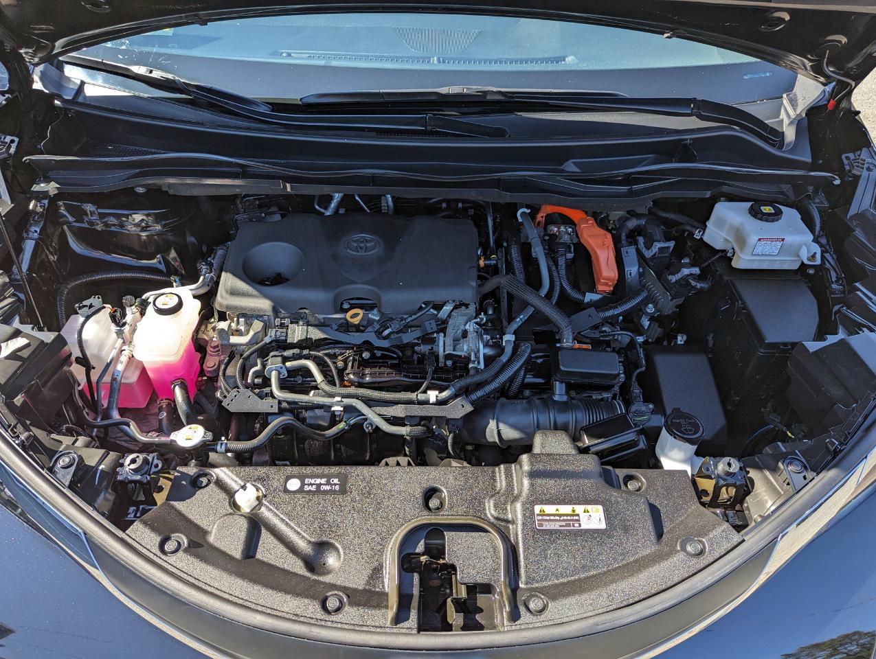 Toyota Sienna XLE AWD 7-Passenger (Natl) 2021