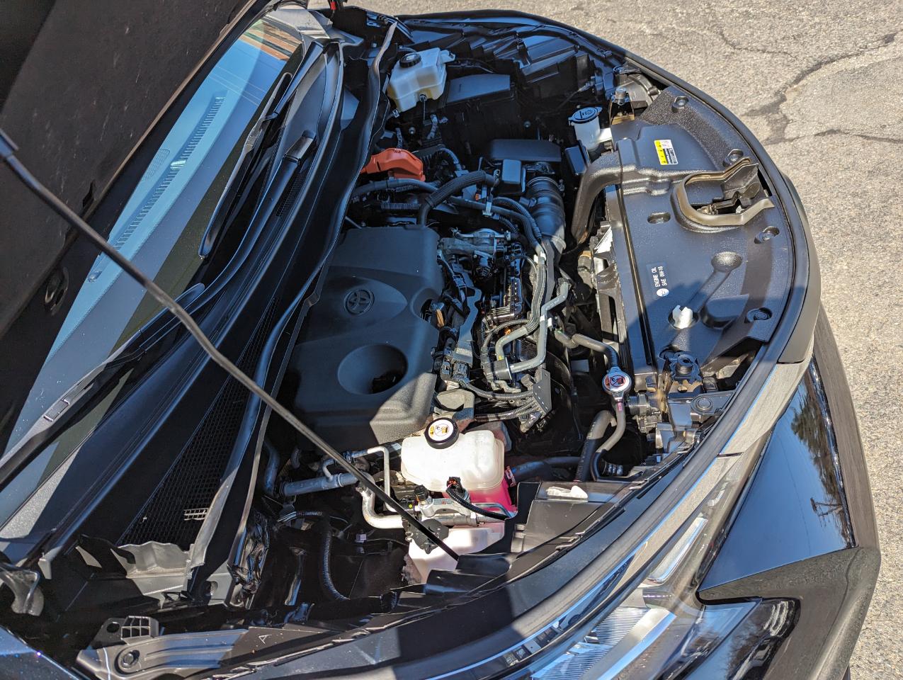 Toyota Sienna XLE AWD 7-Passenger (Natl) 2021