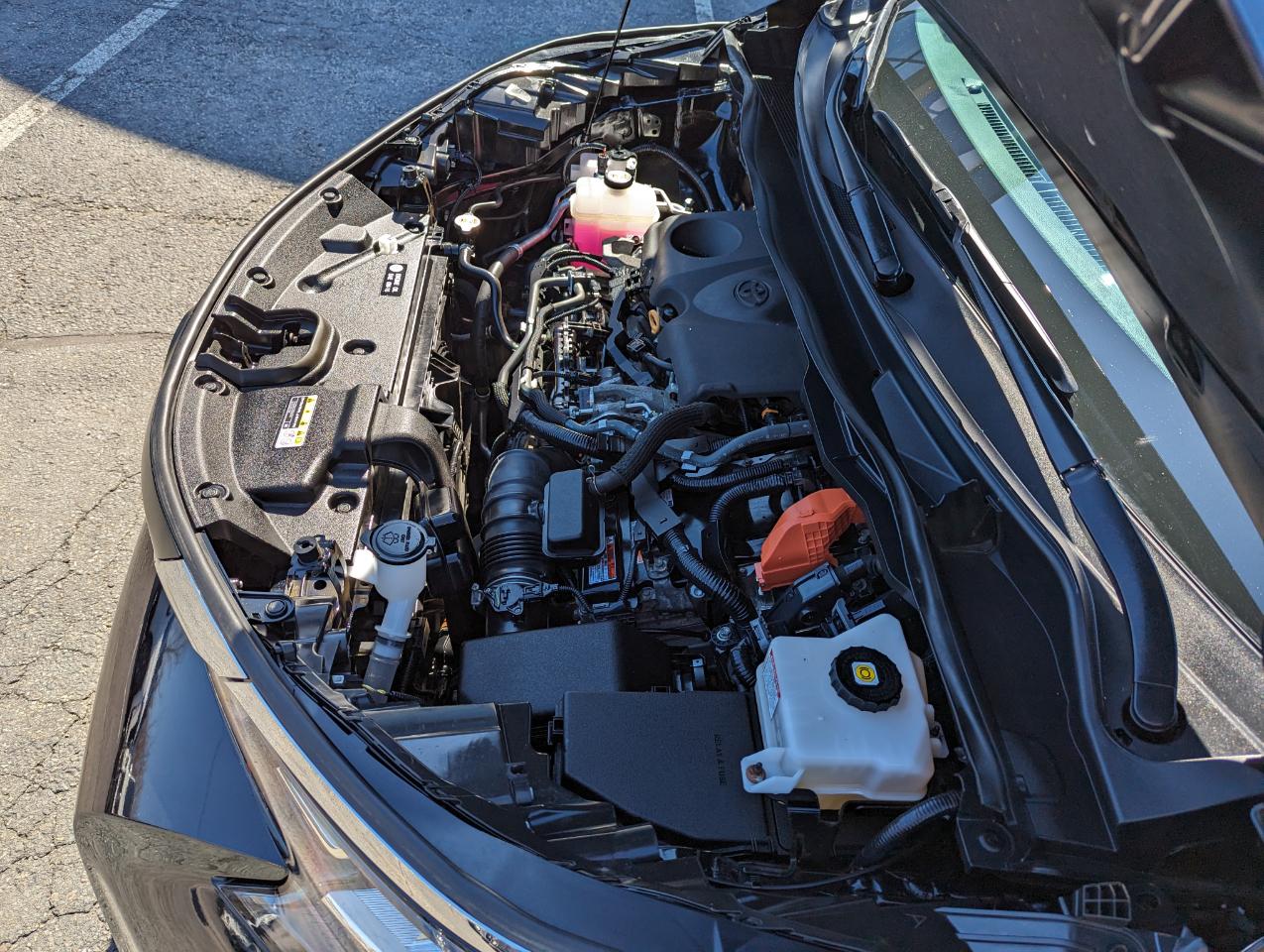 Toyota Sienna XLE AWD 7-Passenger (Natl) 2021