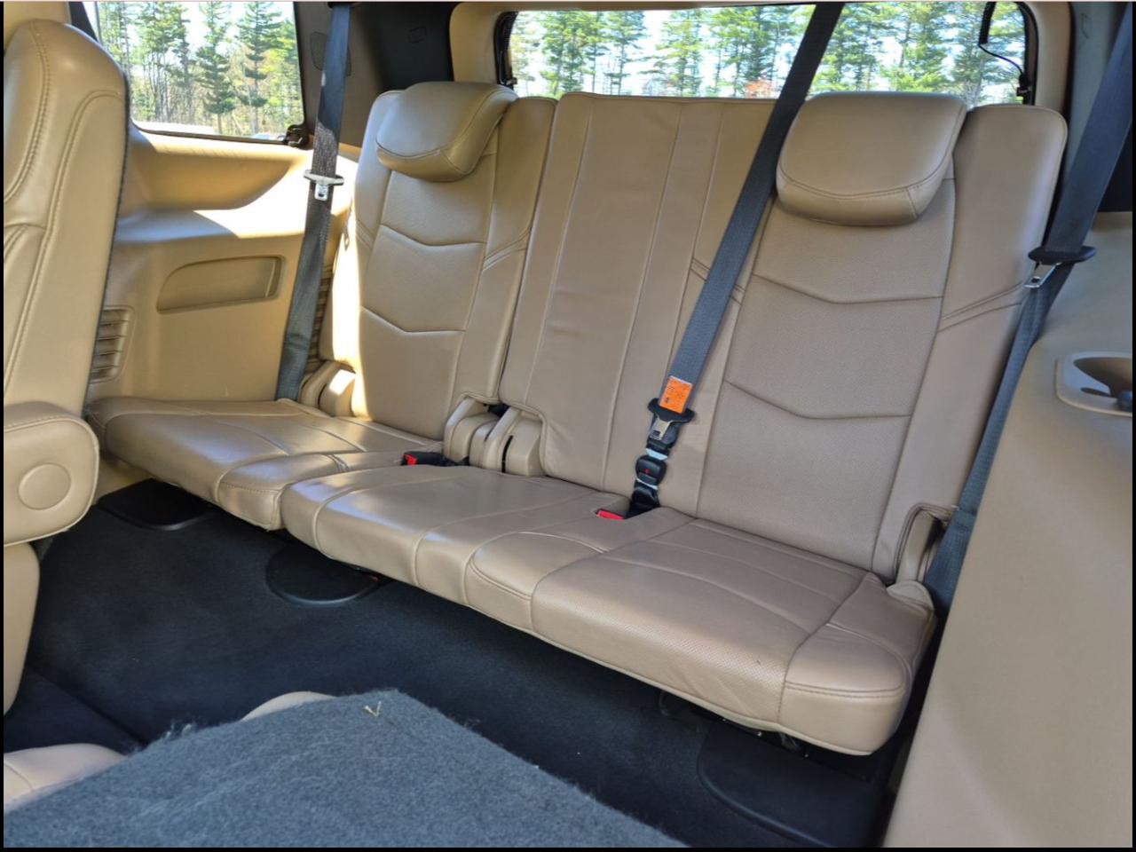 Cadillac Escalade 4WD 4dr Platinum 2020