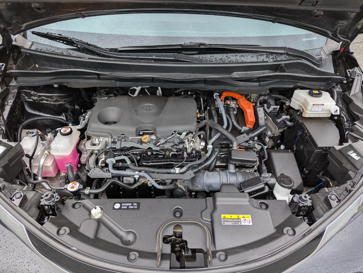 Toyota Sienna Limited AWD 7-Passenger (Natl) 2022