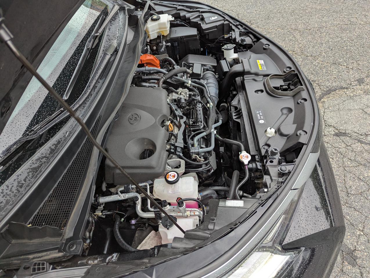 Toyota Sienna Limited AWD 7-Passenger (Natl) 2022
